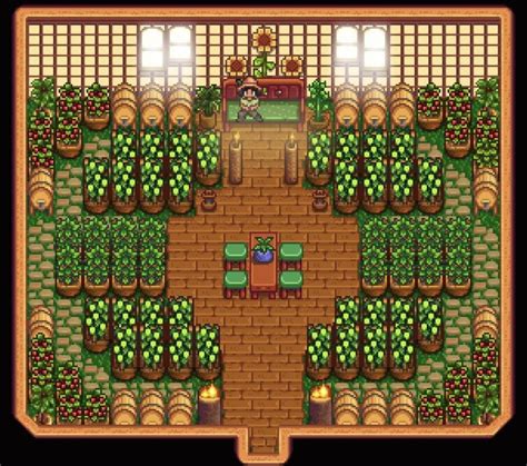 best crops greenhouse stardew|best stardew valley greenhouse layout.